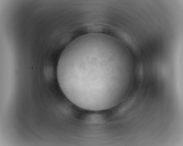 X0000114230224200910091455