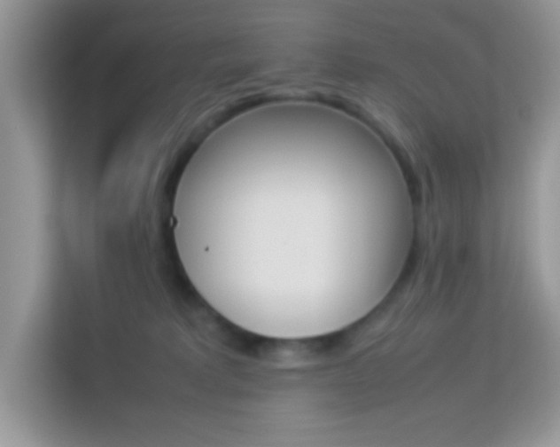 X0000114230229200910091455