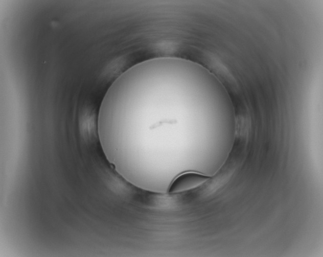 X0000114230238200910091455
