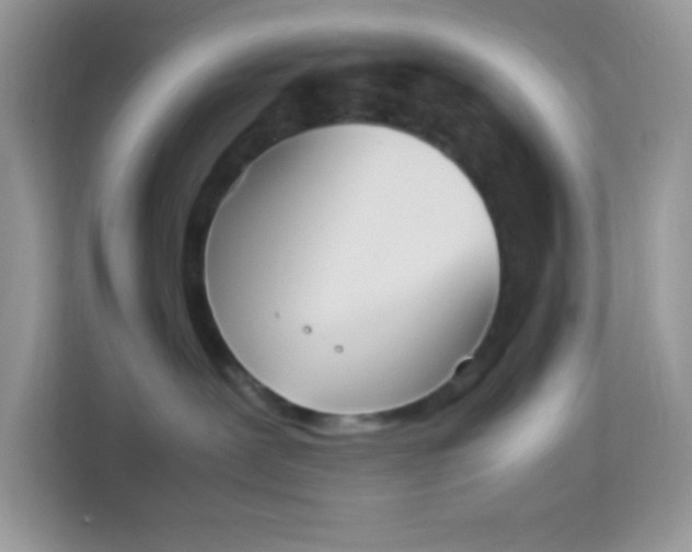 X0000114230239200910091455
