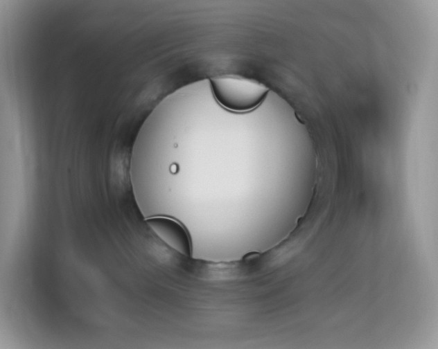 X0000114230240200910091455