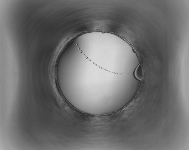 X0000114230241200910091454