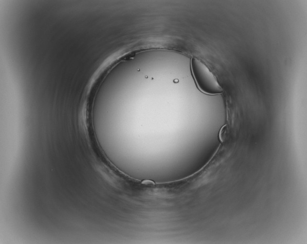 X0000114230244200910091454