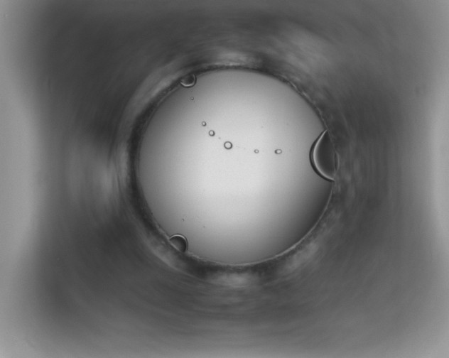 X0000114230247200910091454