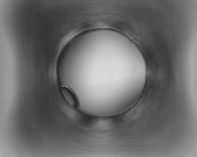 X0000114230248200910091454
