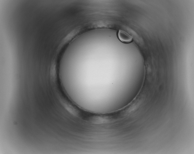 X0000114230250200910091454