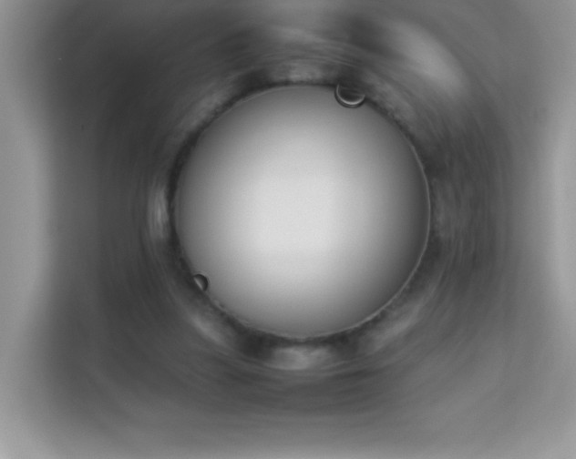 X0000114230251200910091454