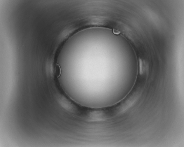 X0000114230252200910091454