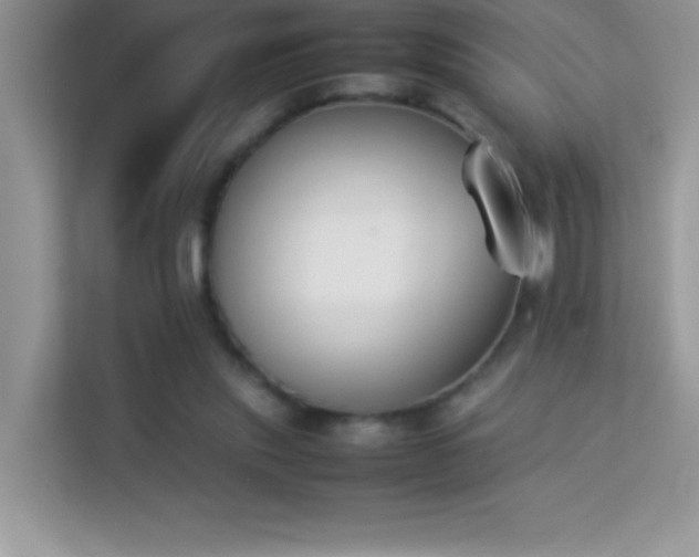 X0000114230253200910091454
