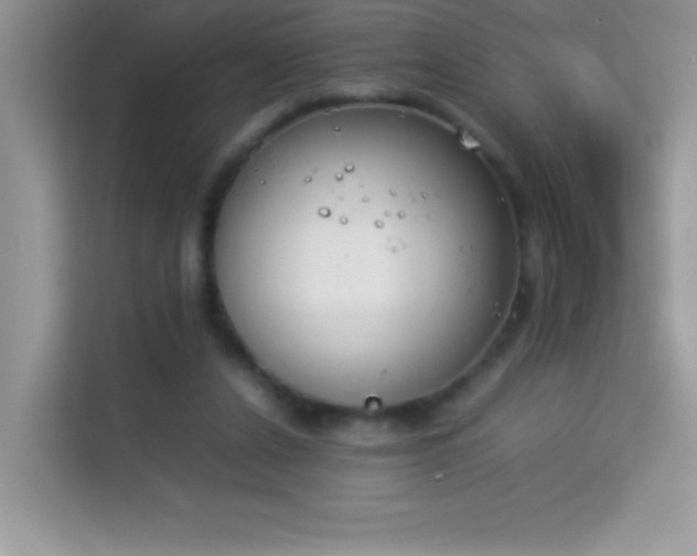 X0000114230256200910091454