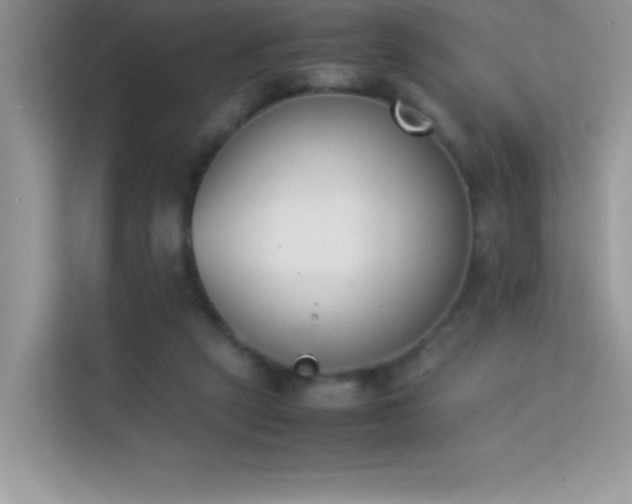 X0000114230257200910091454