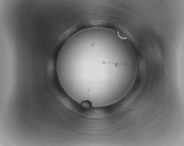 X0000114230260200910091454
