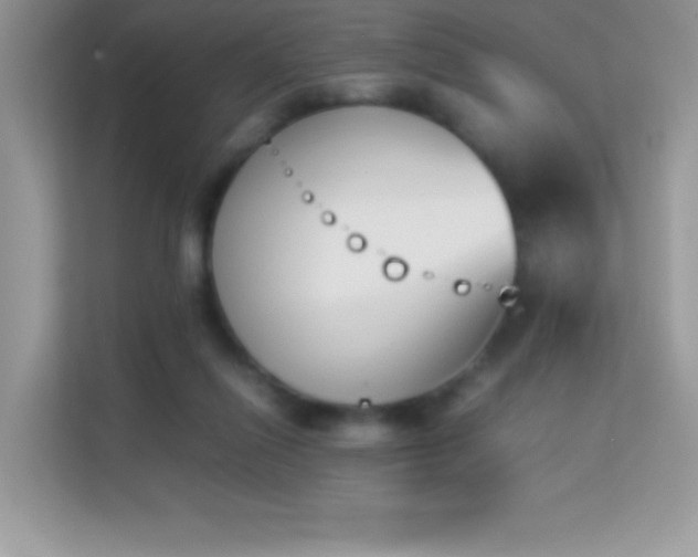 X0000114230262200910091454