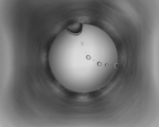 X0000114230263200910091454