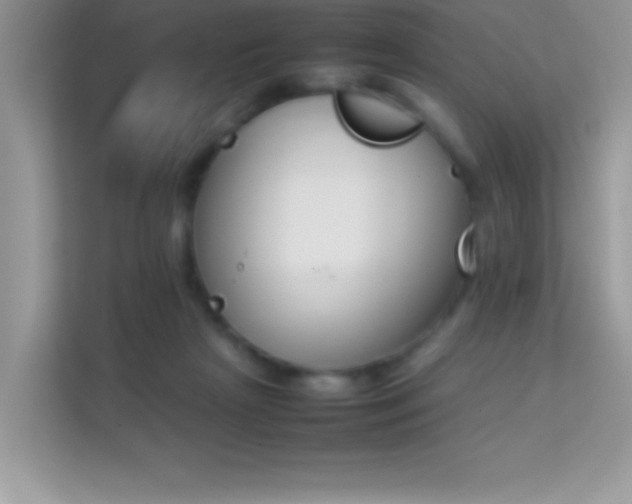 X0000114230265200910091454