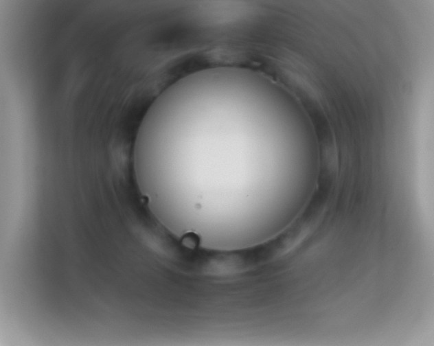 X0000114230271200910091454