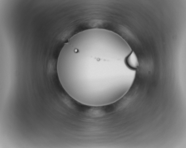 X0000114230280200910091454