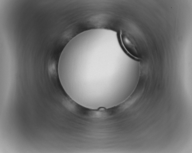 X0000114230286200910091455