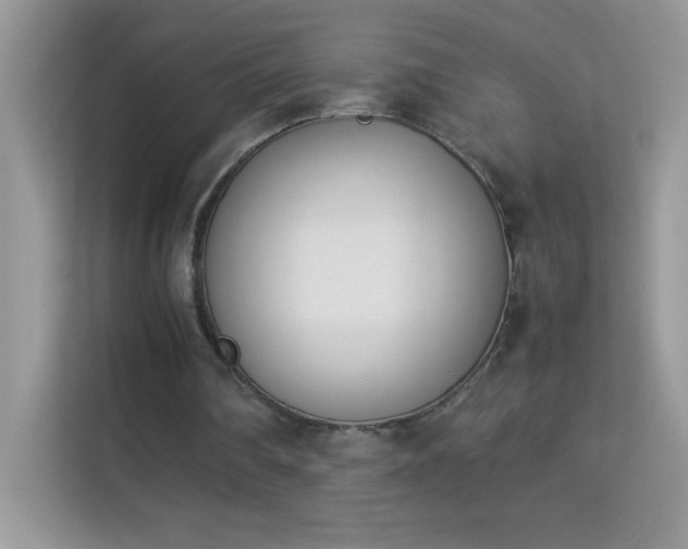 X0000114230290200910091454