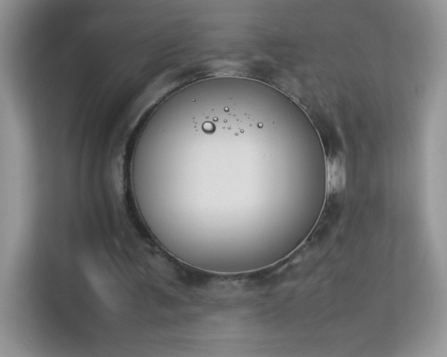 X0000114230291200910091454