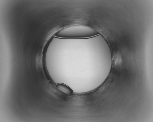 X0000114230292200910091454