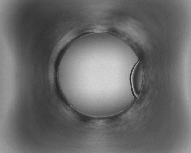 X0000114230295200910091454