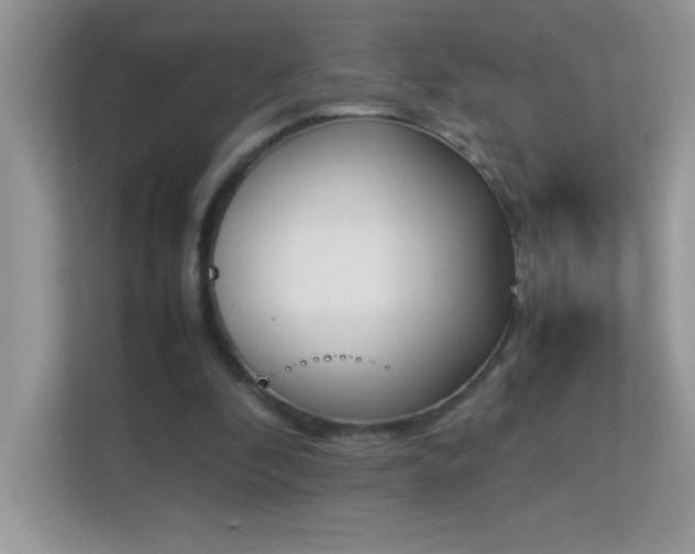 X0000114230296200910091454