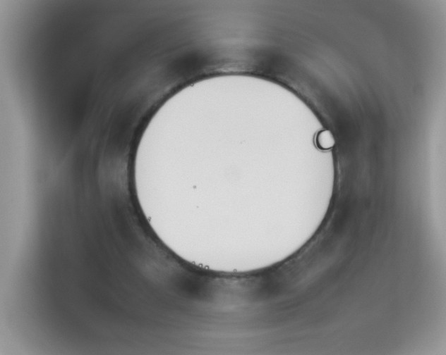 X0000114230297200910091454
