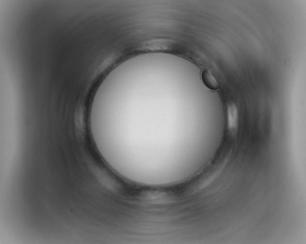 X0000114230300200910091454
