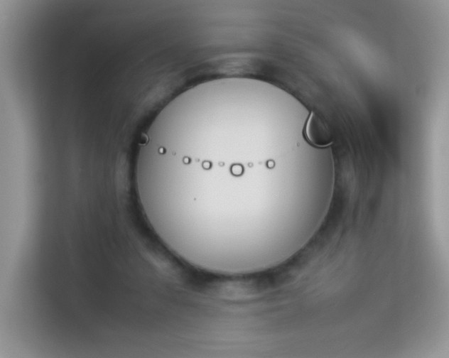 X0000114230303200910091454