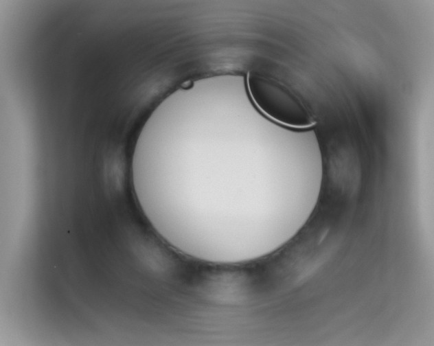 X0000114230304200910091454