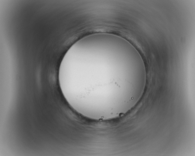 X0000114230305200910091454