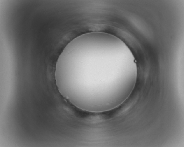 X0000114230307200910091454
