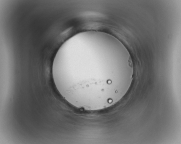 X0000114230309200910091454
