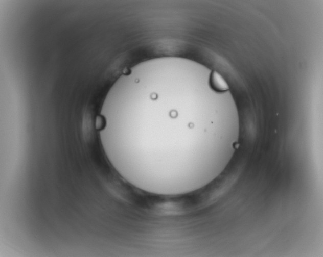 X0000114230312200910091454