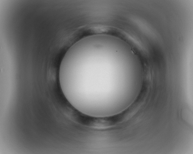 X0000114230315200910091454