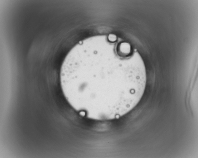 X0000114230321200910091454