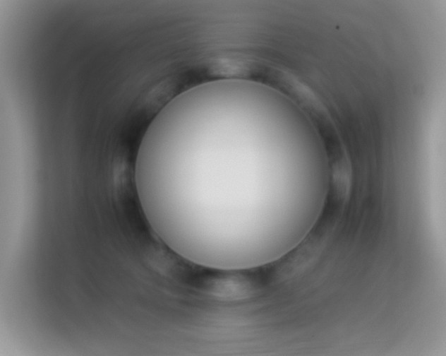 X0000114230322200910091453