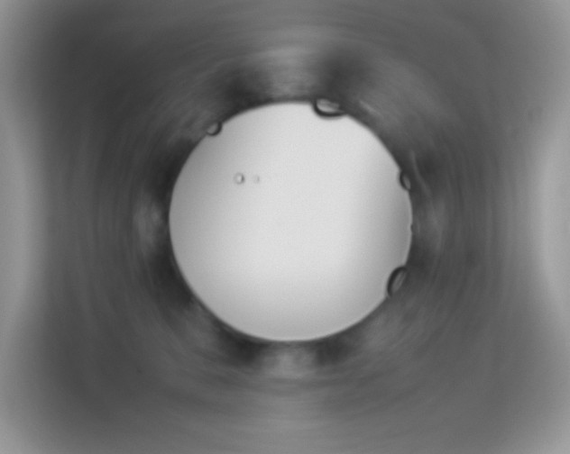 X0000114230327200910091453