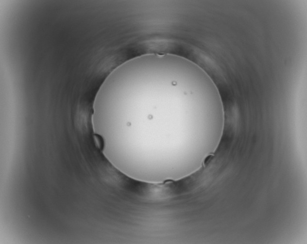 X0000114230333200910091453