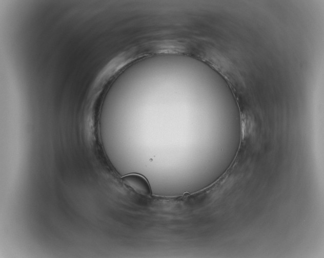X0000114230339200910091453