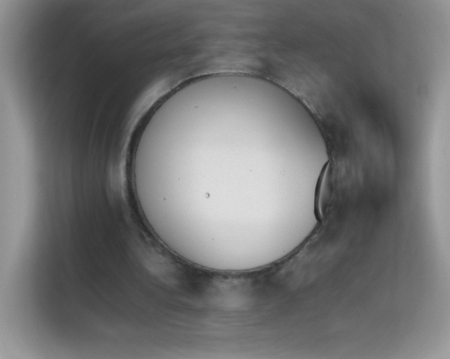 X0000114230340200910091453