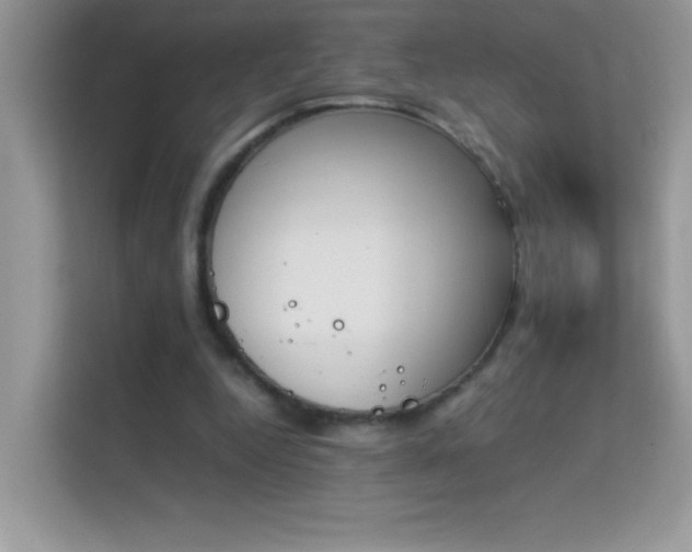 X0000114230344200910091453