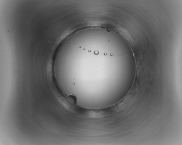 X0000114230346200910091453