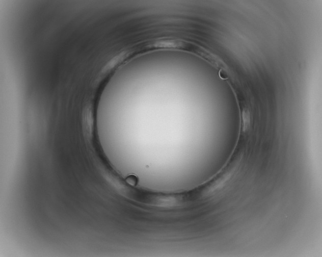 X0000114230349200910091453
