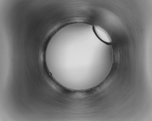 X0000114230350200910091453
