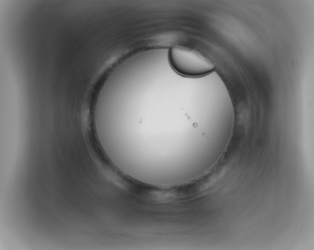 X0000114230351200910091453