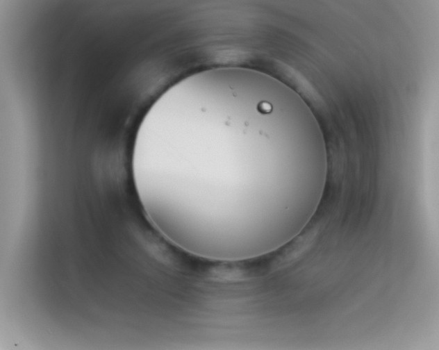 X0000114230354200910091453