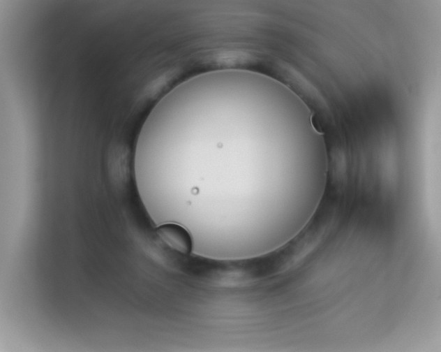 X0000114230356200910091453