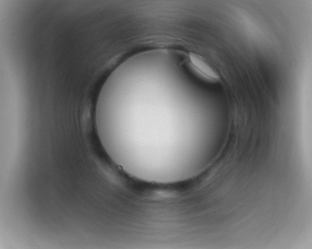 X0000114230360200910091453